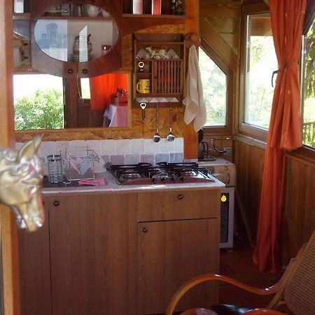 Transylvania Cowboy Cottage Κλουζ-Ναπόκα Εξωτερικό φωτογραφία