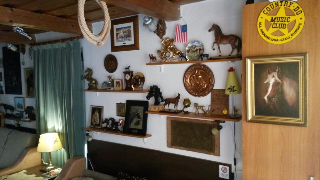 Transylvania Cowboy Cottage Κλουζ-Ναπόκα Εξωτερικό φωτογραφία