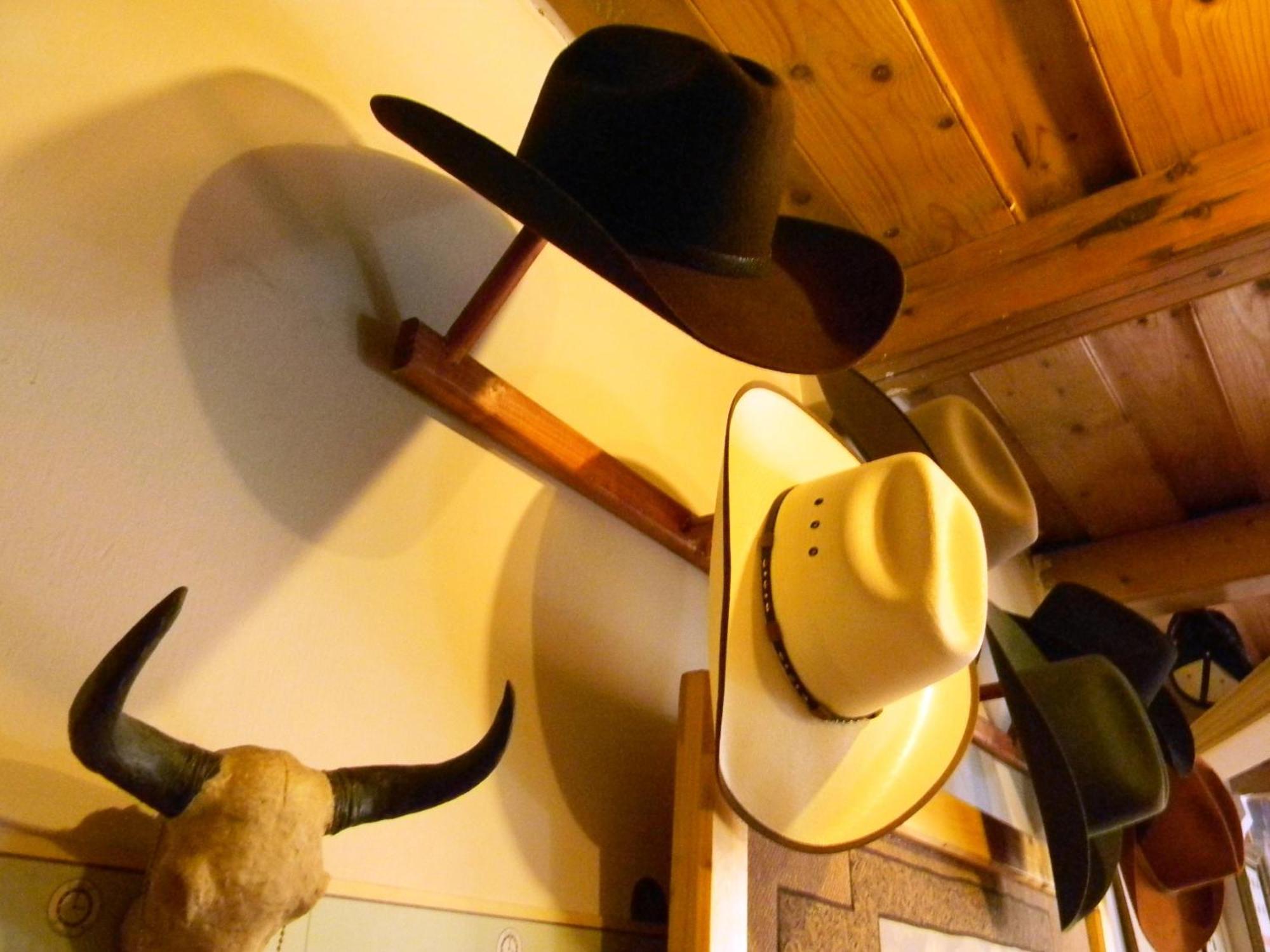 Transylvania Cowboy Cottage Κλουζ-Ναπόκα Εξωτερικό φωτογραφία